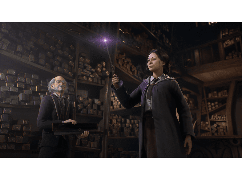 Hogwarts Legacy (Playstation5)